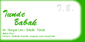 tunde babak business card